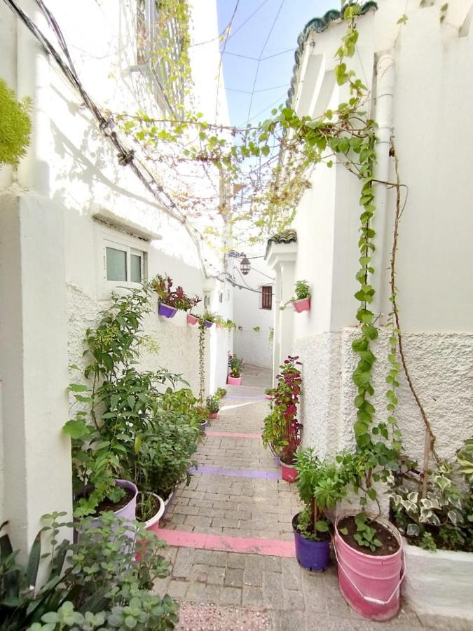 Maison Medina, Terrasse Panoramique, Vue Mer Танжер Екстериор снимка