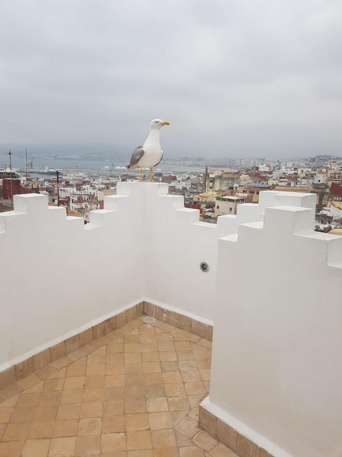 Maison Medina, Terrasse Panoramique, Vue Mer Танжер Екстериор снимка